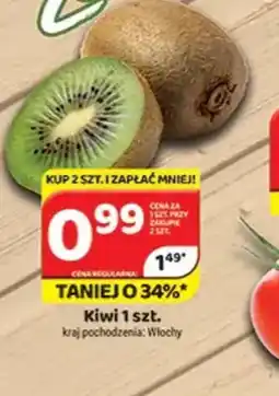 Delfin Kiwi oferta