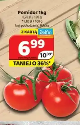 Delfin Pomidor oferta