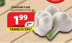 Delfin Czosnek oferta