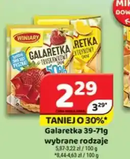 Delfin Galaretka oferta
