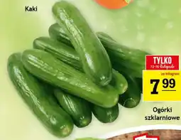 Gram Market Ogórki szklarniowe oferta