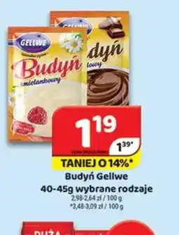 Delfin Budyń Gellwe oferta