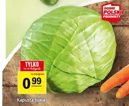 Gram Market Kapusta biała oferta