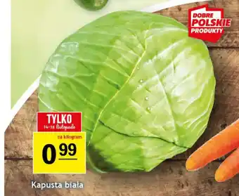 Gram Market Kapusta biała oferta