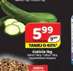 Delfin Cukinia oferta