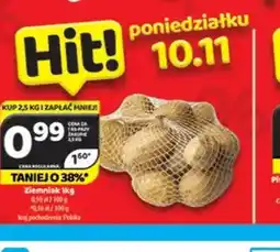 Delfin Ziemniak oferta