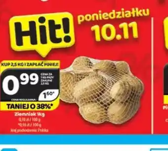 Delfin Ziemniak oferta