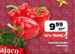 Netto Papryka słodka czerwona Netto oferta