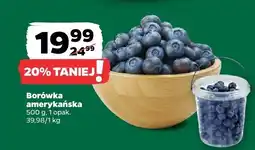 Netto Borówka amerykańska 500 g Netto oferta