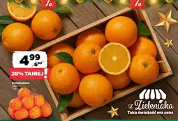 Netto Pomarańcza siatka 1 kg Netto oferta