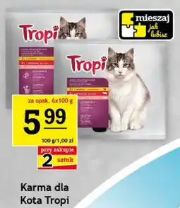 Gram Market Karma dla Kota Tropi oferta