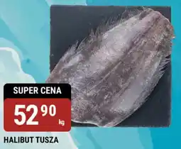 bi1 Halibut tusza oferta