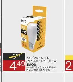 Wafelek ZAROWKA LED oferta