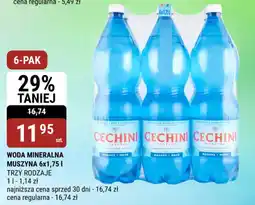 bi1 Woda mineralna muszyna oferta