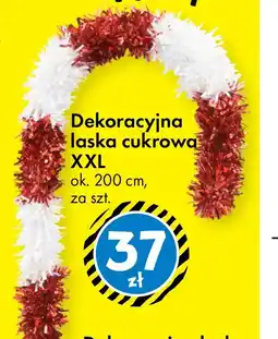 Tedi Dekoracyjna laska cukrowa oferta