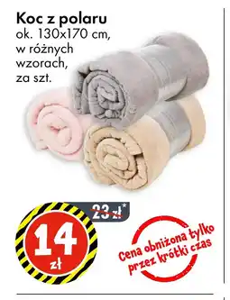 Tedi Koc z polaru oferta
