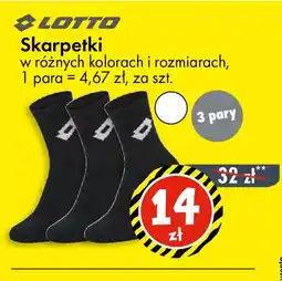 Tedi Skarpetki oferta