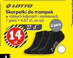 Tedi Skarpetki do trampek oferta