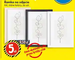 Tedi Ramka na zdjęcia oferta