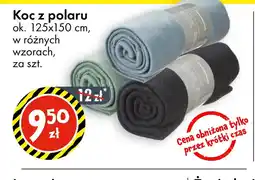 Tedi Koc z polaru oferta
