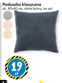 Tedi Poduszka klasyczna oferta