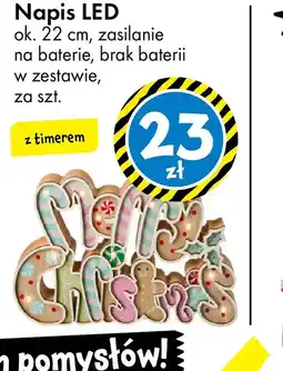 Tedi Napis LED oferta