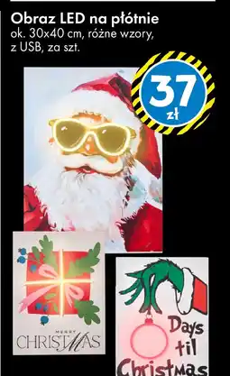 Tedi Obraz LED na płótnie oferta