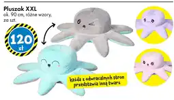 Tedi Pluszak XXL oferta