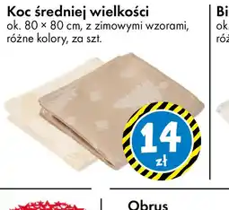 Tedi Koc średniej wielkości oferta