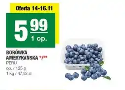 SPAR mini Borówka amerykańska oferta