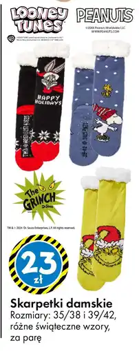 Tedi SKARPETKI damskie oferta