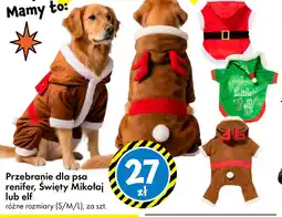 Tedi Przebranie dla psa oferta