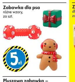 Tedi Zabawka dla psa oferta