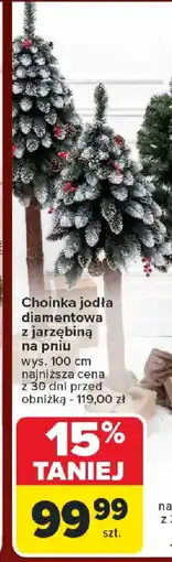 Carrefour Choinka jodła diamentowa oferta