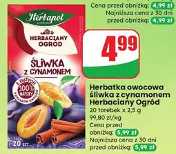 Dino Herbatka owocowa śliwka z cynamonem Herbaciany Ogród oferta