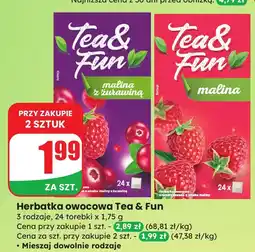 Dino Herbatka owocowa Tea & Fun malina z żurawiną oferta