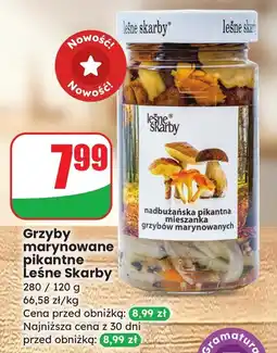 Dino Grzyby marynowane pikantne Leśne Skarby oferta