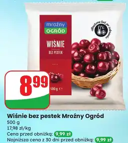 Dino Wiśnie bez pestek Mrożny Ogród oferta