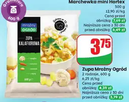 Dino Zupa kalafiorowa Mrożny Ogród oferta