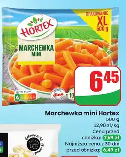Dino Marchewka mini Hortex oferta