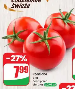 Dino Pomidor Dino oferta