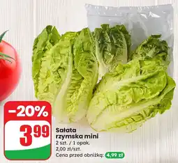 Dino Sałata rzymska mini Dino oferta