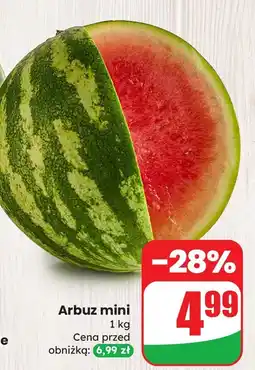 Dino Arbuz mini Dino oferta