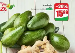 Dino Awokado Dino oferta