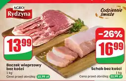 Dino Schab bez kości AGRO Rydzyna oferta