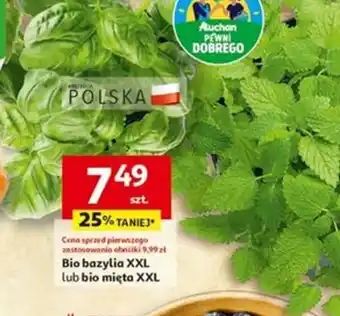 Auchan Bio bazylia XXL lub bio mięta XXL oferta