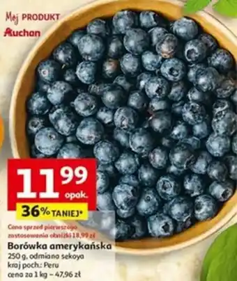 Auchan Borówka amerykańska oferta