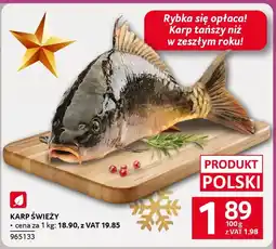 Selgros Karp świeży oferta
