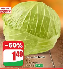 Dino Kapusta biała Dino oferta