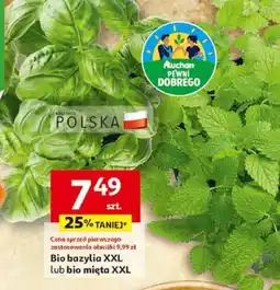 Auchan Bio bazylia XXL lub bio mięta XXL Auchan oferta